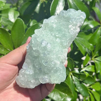 Indian Apophyllite Mineral Specimen