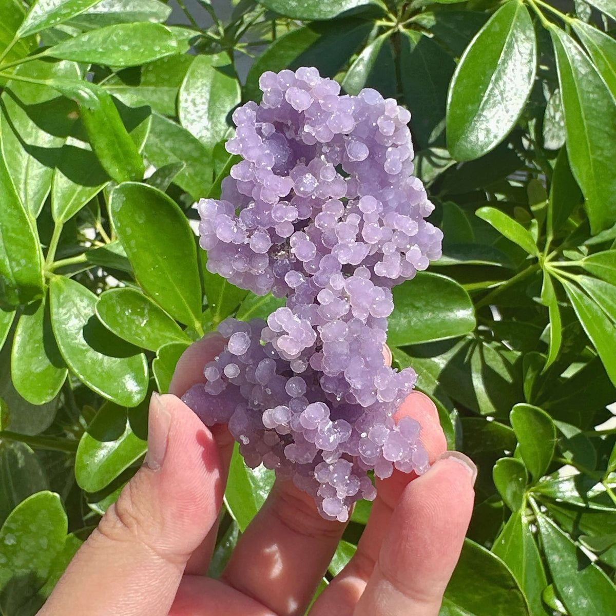 Grape Agate with Clear Quartz Specimen