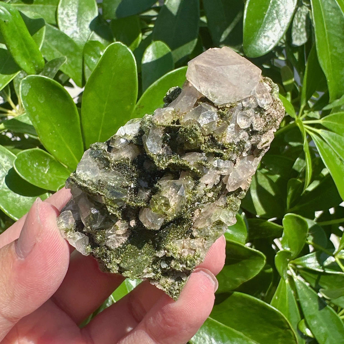 Epidote with Clear Quartz Specimem