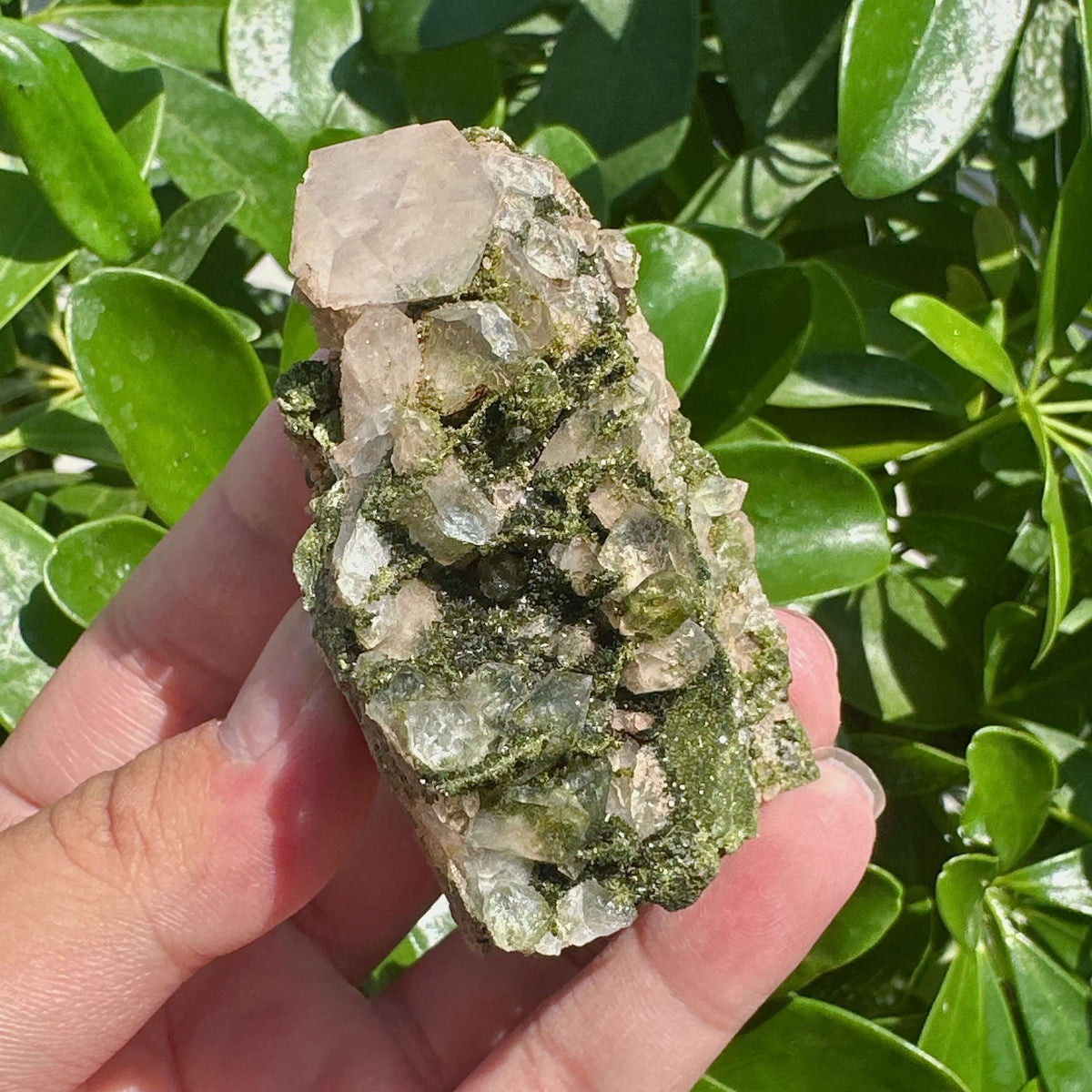 Epidote with Clear Quartz Specimem