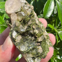 Epidote with Clear Quartz Specimem