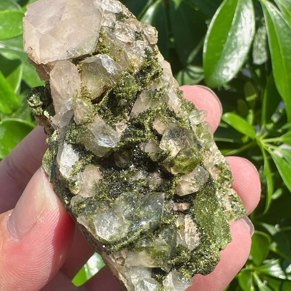 Epidote with Clear Quartz Specimem