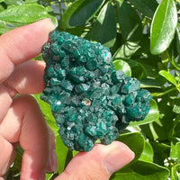 Dioptase Specimen