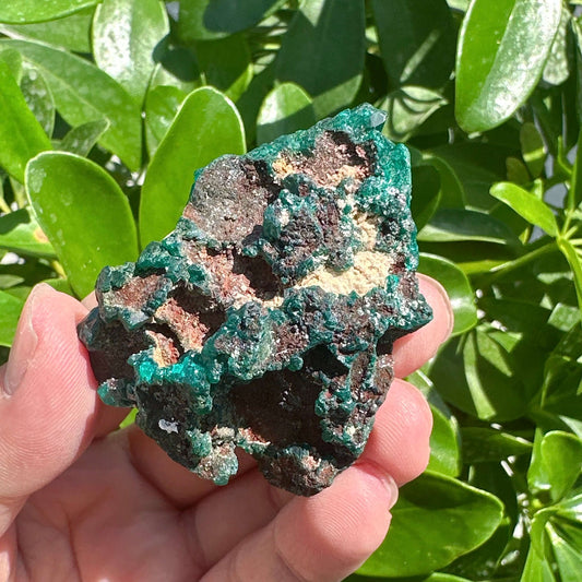 Dioptase Specimen