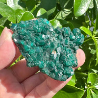 Dioptase Specimen
