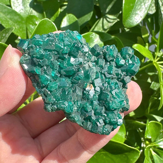 Dioptase Specimen