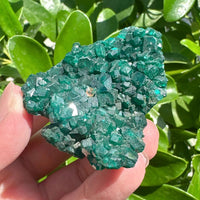 Dioptase Specimen