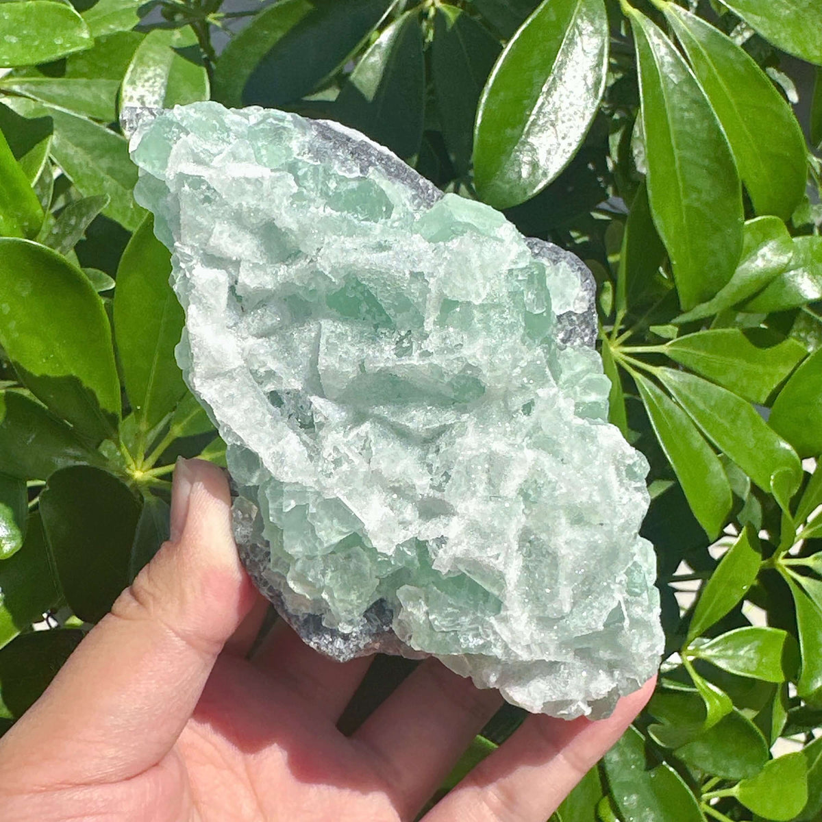 Sugar-textured Fluorite with Clear Quartz Specimen