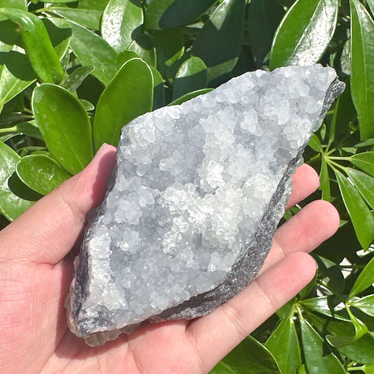 Sugar-textured Fluorite with Clear Quartz Specimen