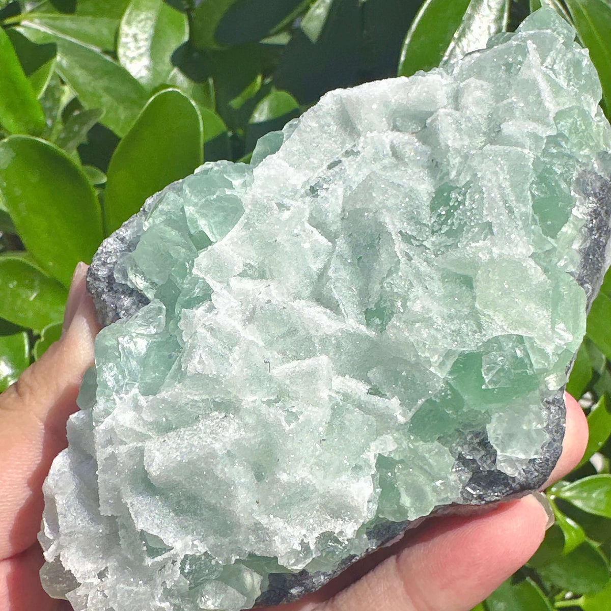 Sugar-textured Fluorite with Clear Quartz Specimen