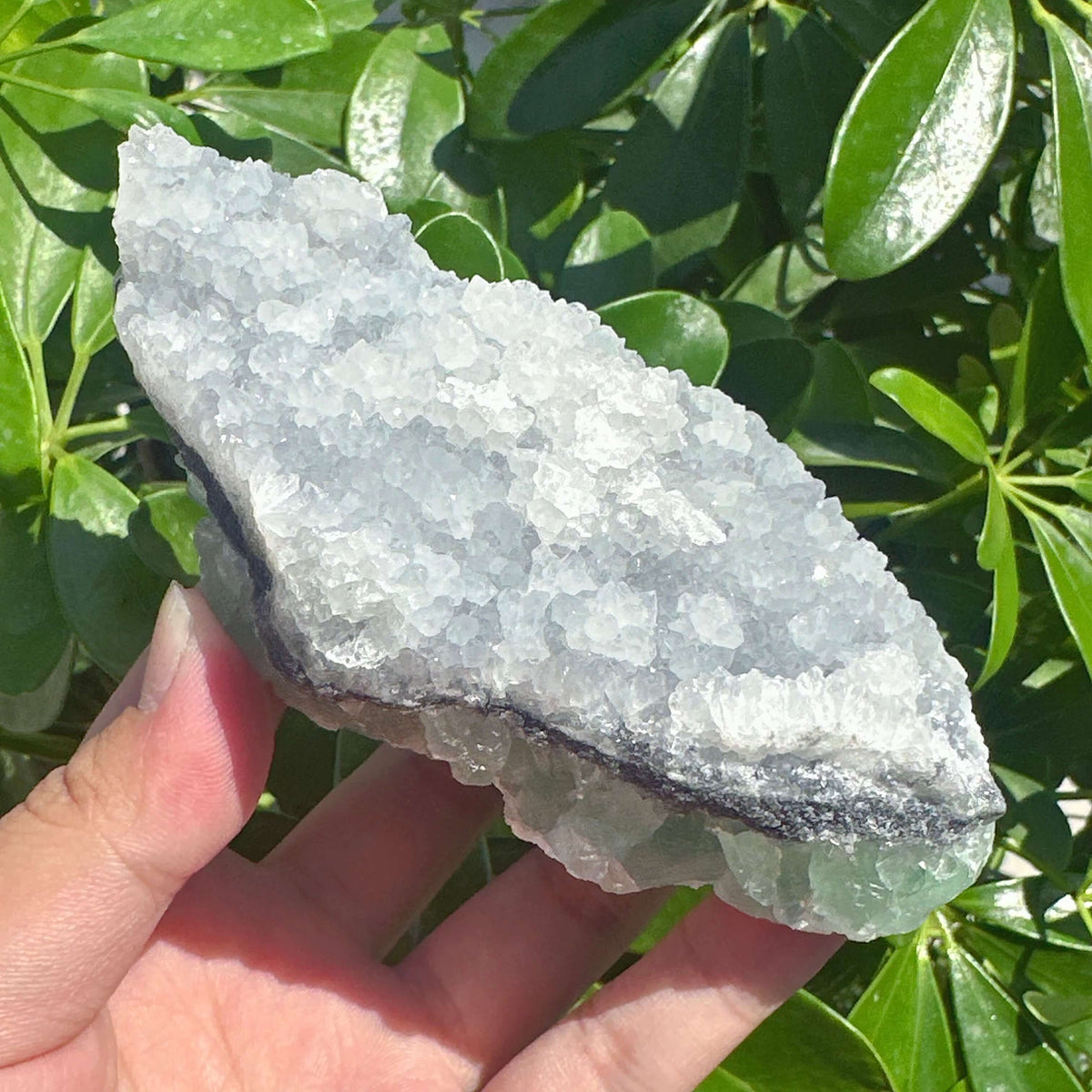 Sugar-textured Fluorite with Clear Quartz Specimen