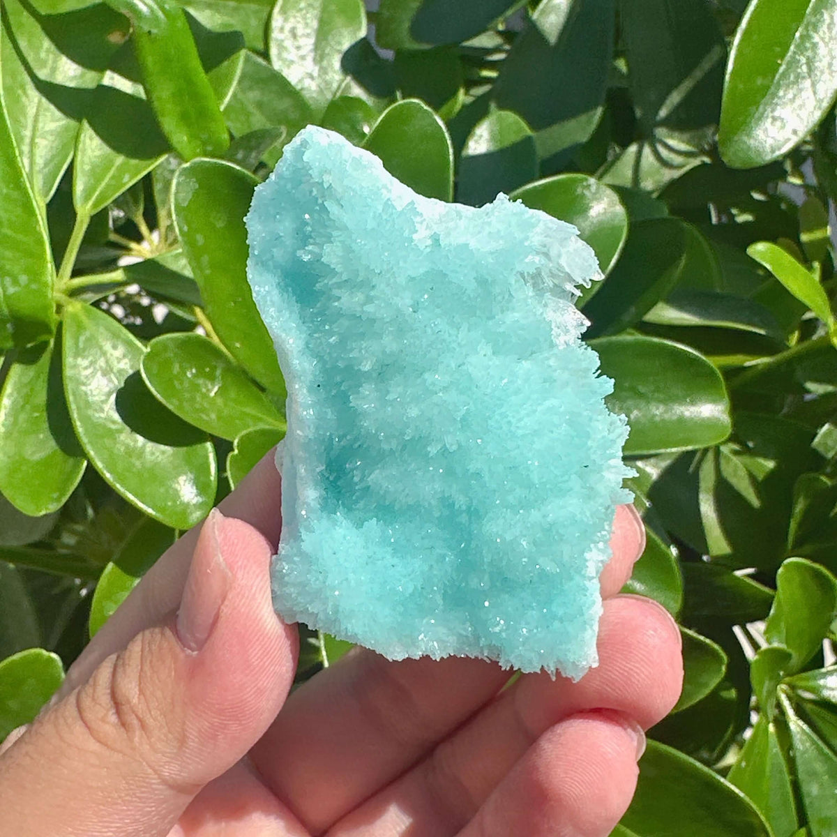Blue Aragonite Specimen