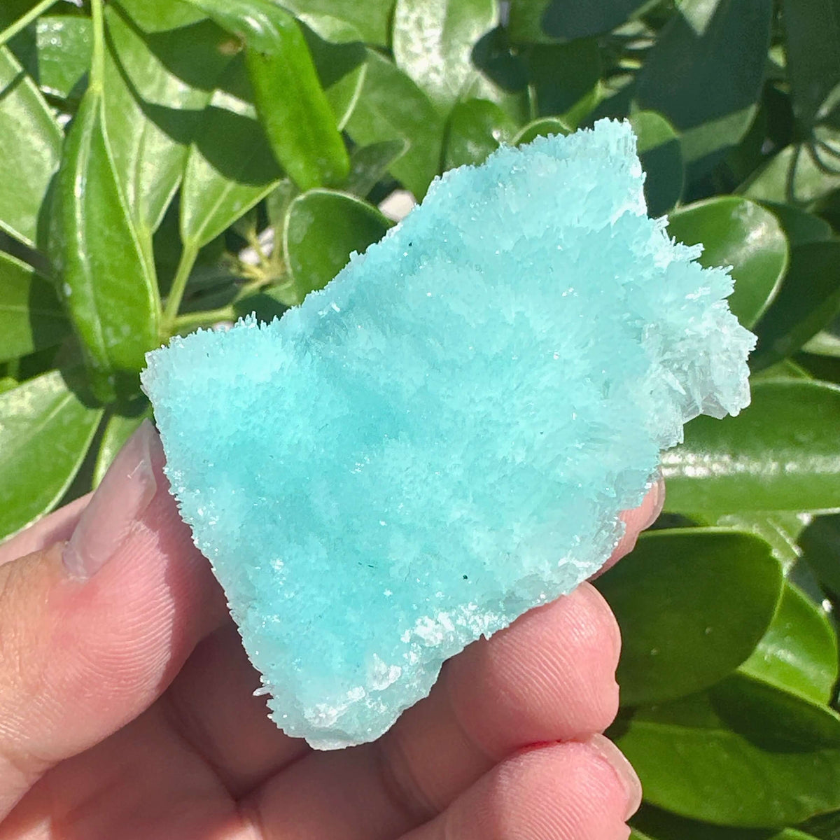 Blue Aragonite Specimen