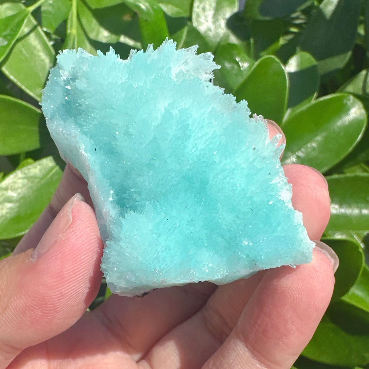 Blue Aragonite Specimen