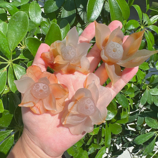 Agate Lotus Carving
