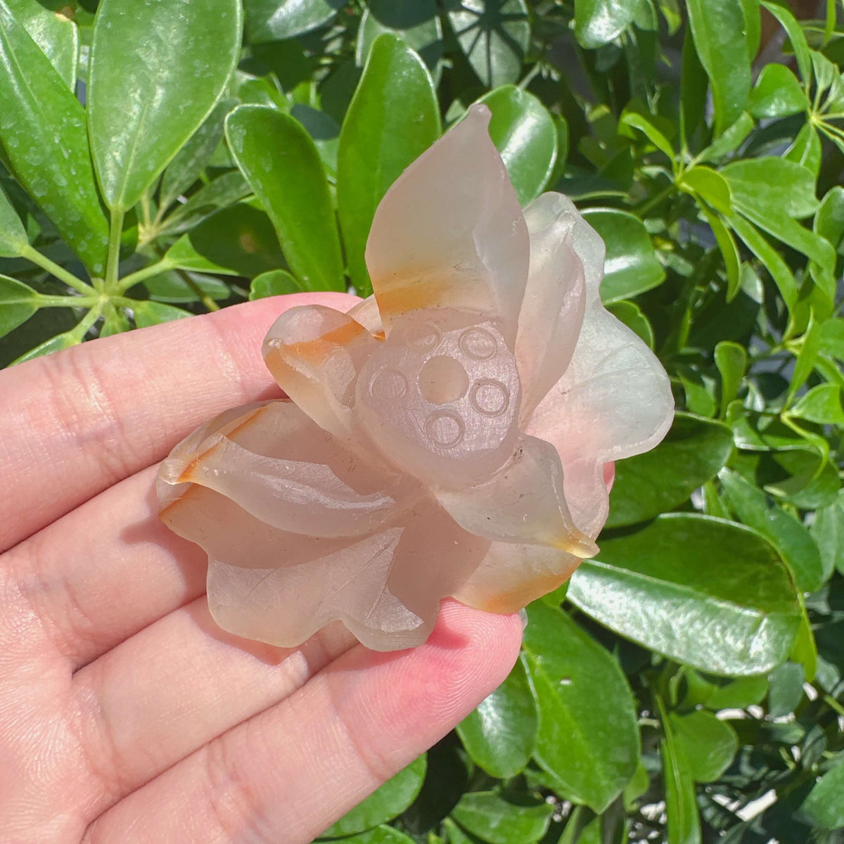 Agate Lotus Carving