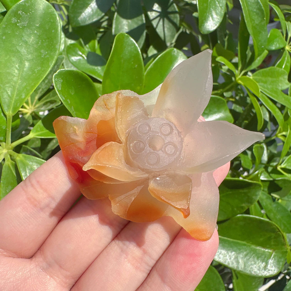 Agate Lotus Carving