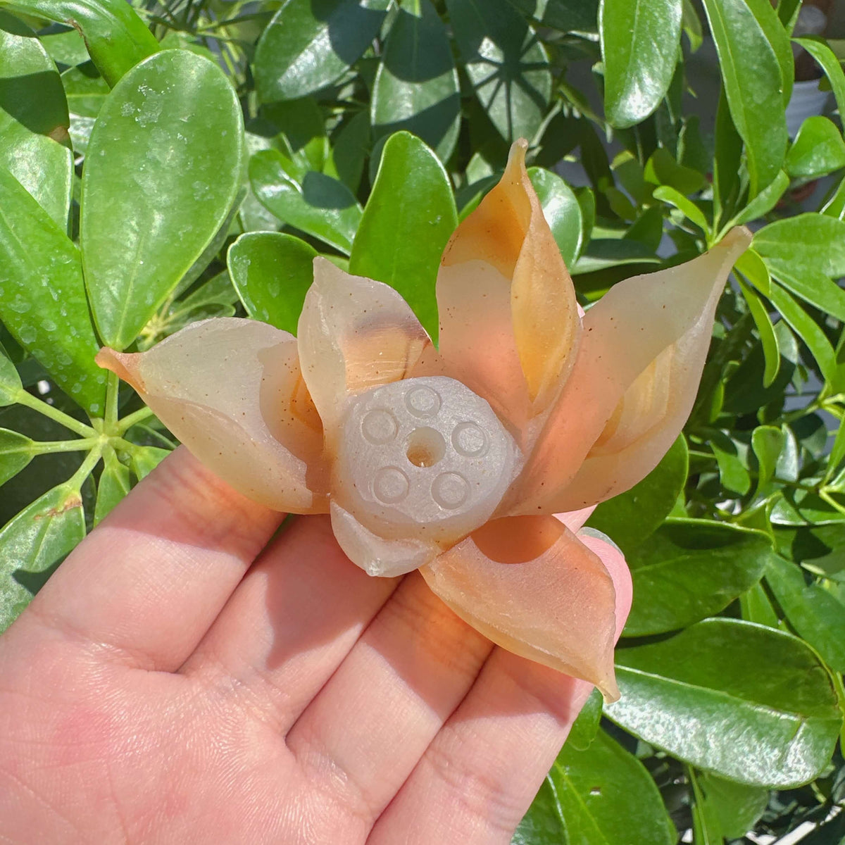 Agate Lotus Carving