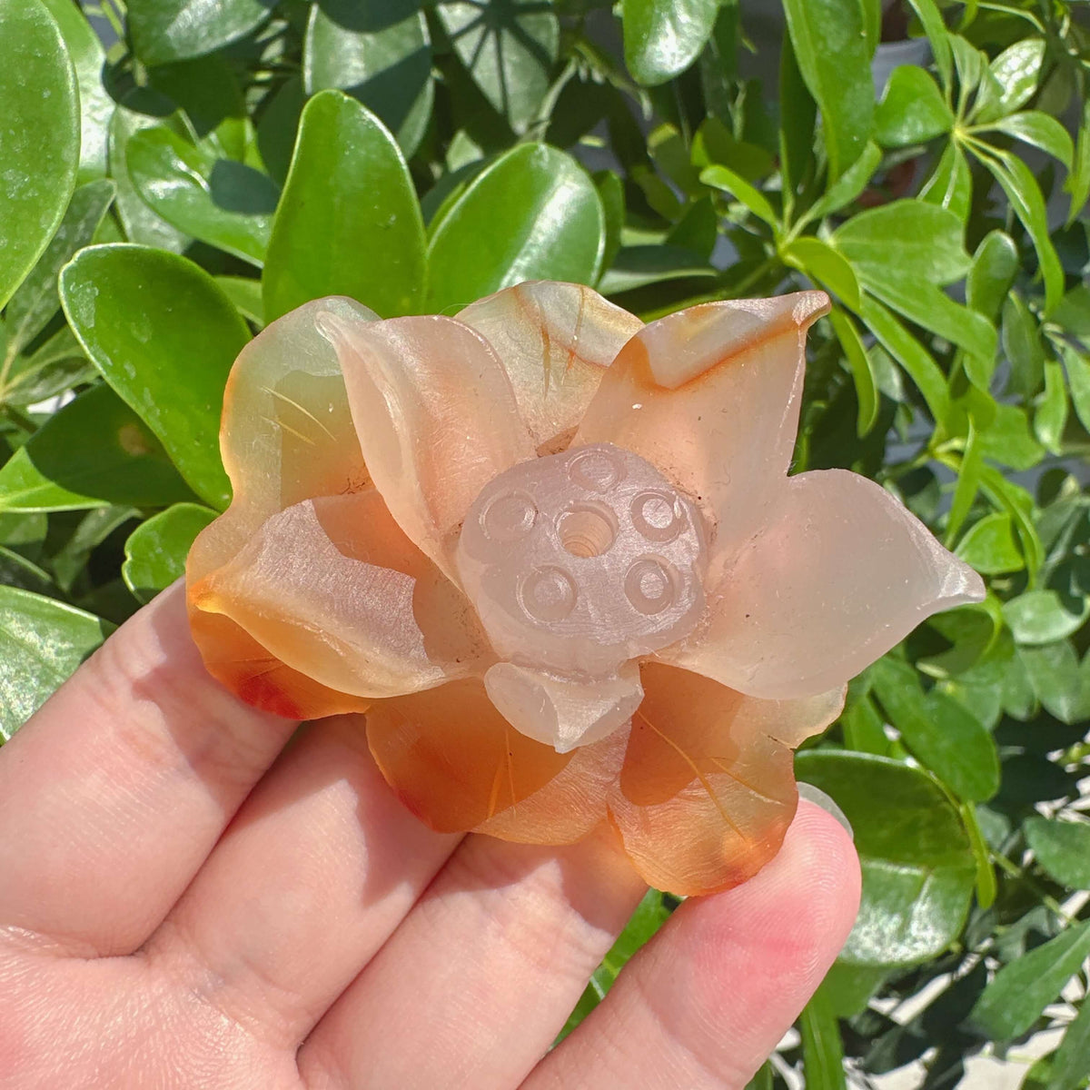 Agate Lotus Carving