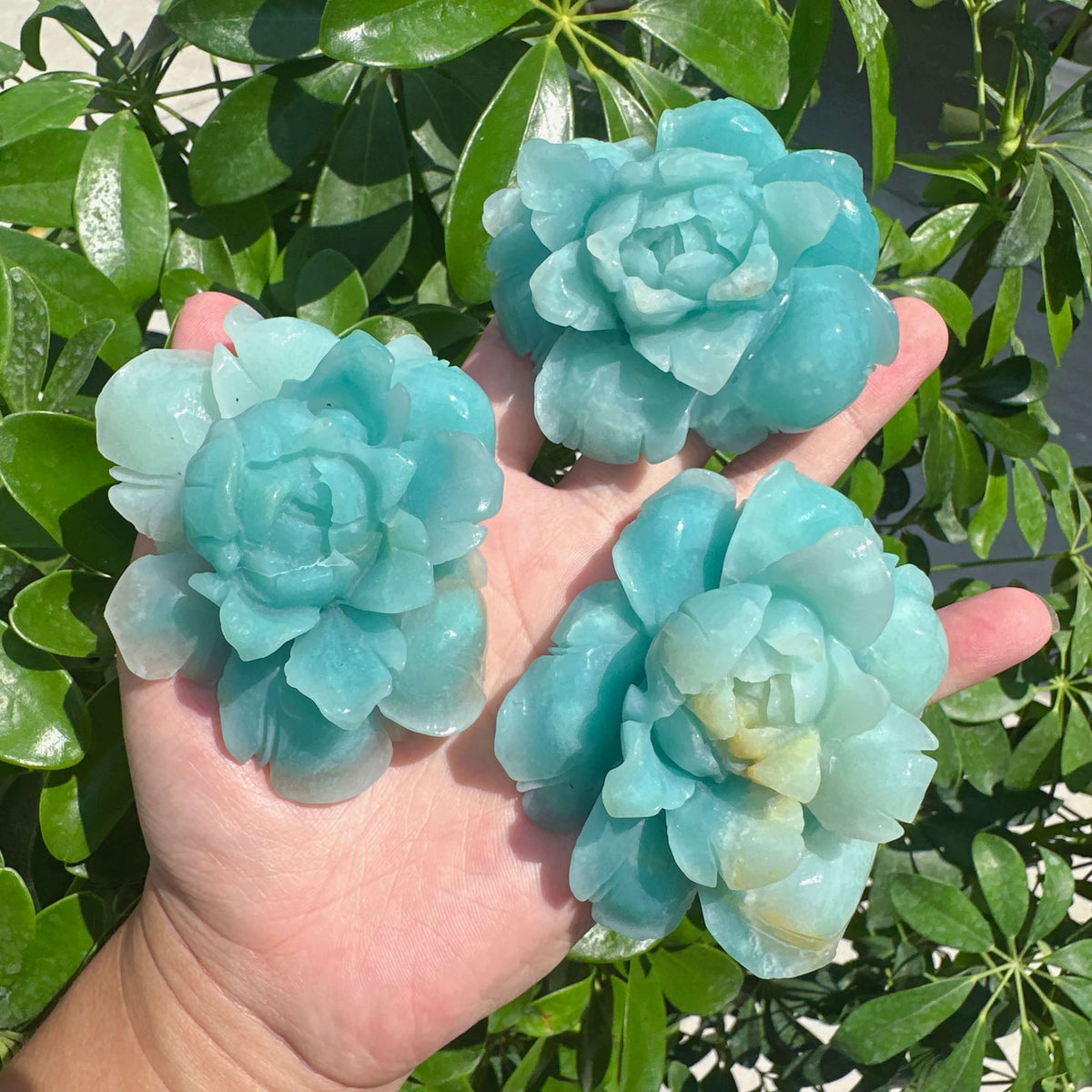 Amazonite Flower Carving
