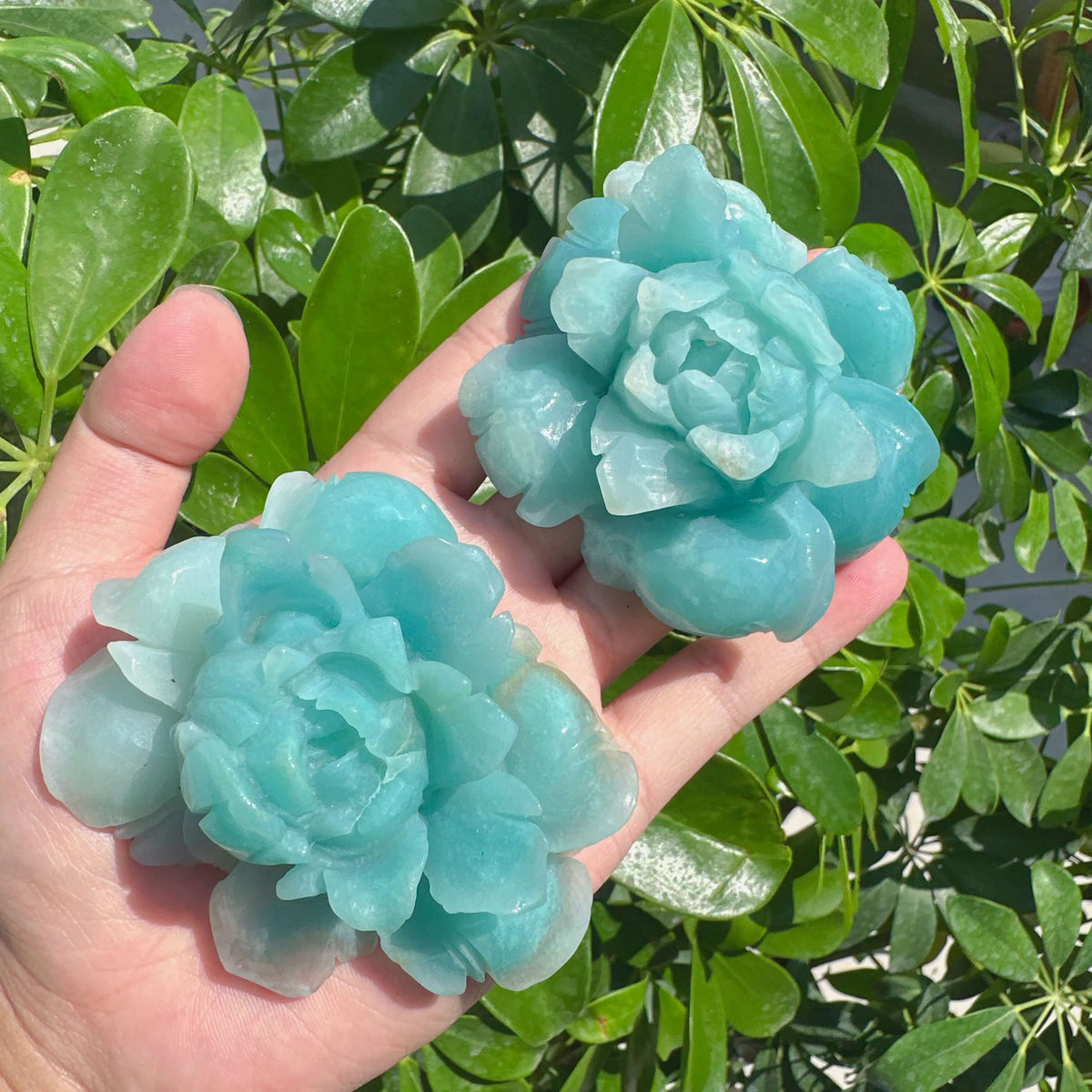 Amazonite Flower Carving