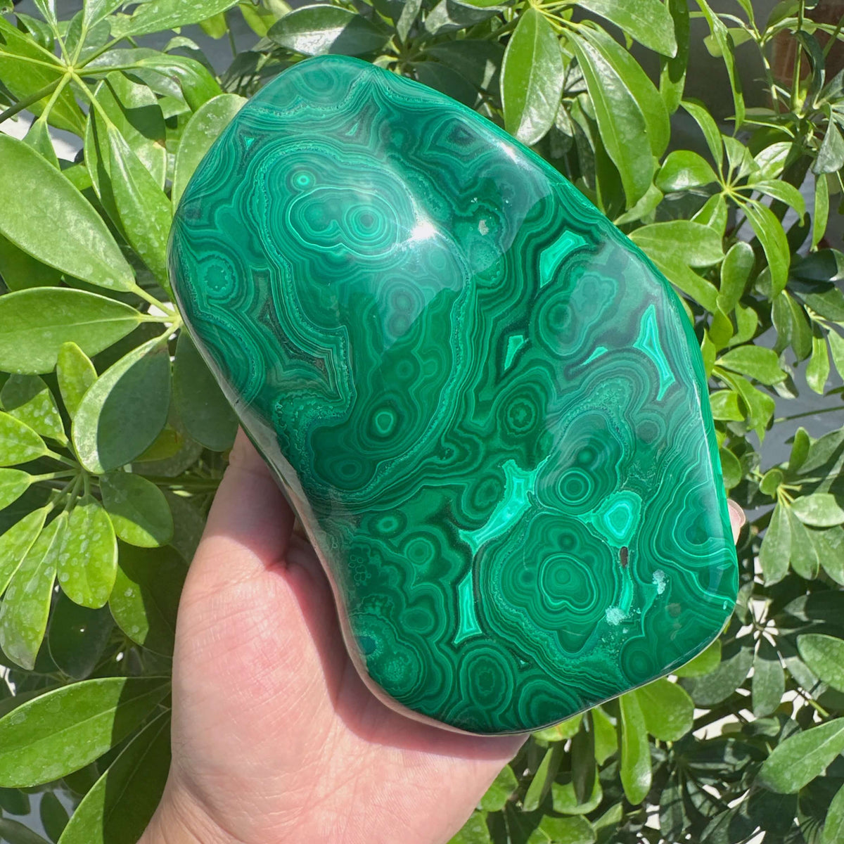 Malachite Freeform
