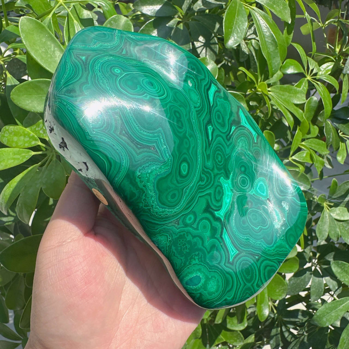 Malachite Freeform