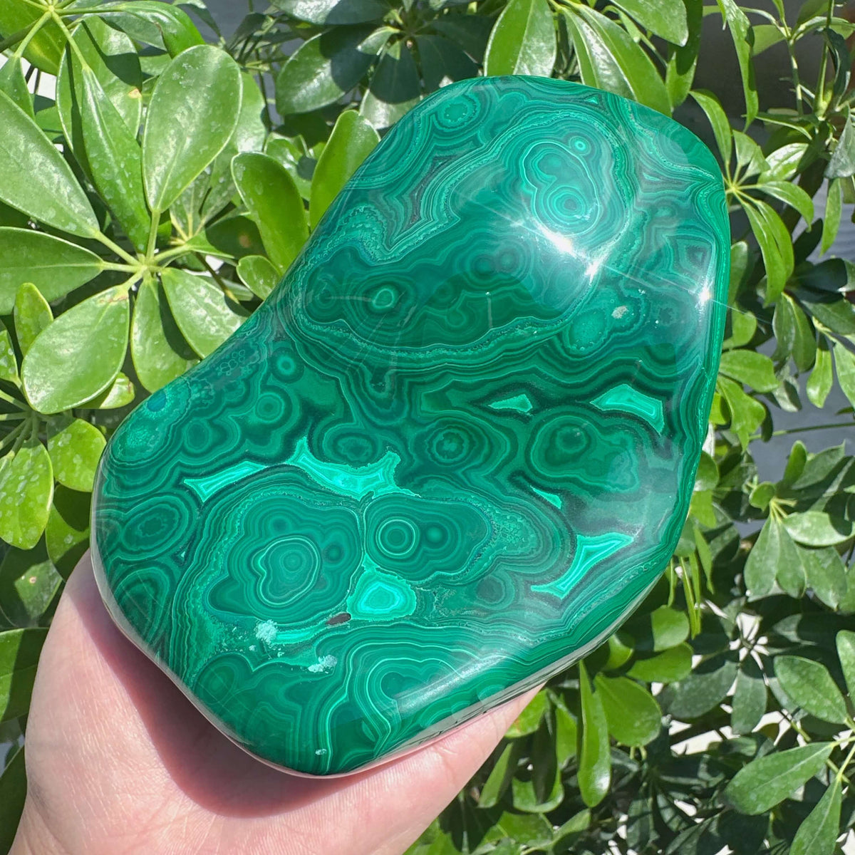 Malachite Freeform