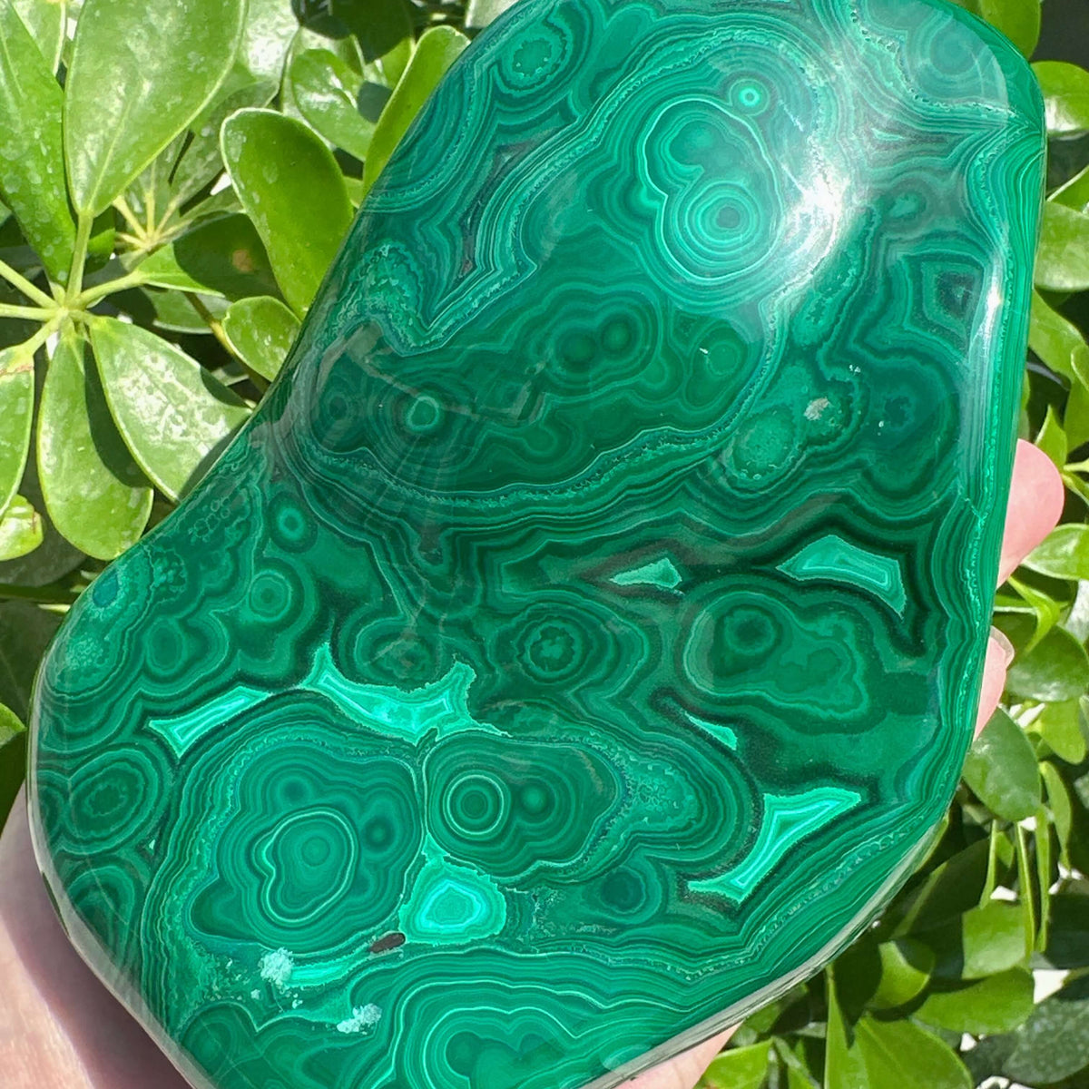 Malachite Freeform