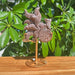 Picture Jasper Nine-tailed Fox Carving