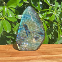 Labradorite Freeform