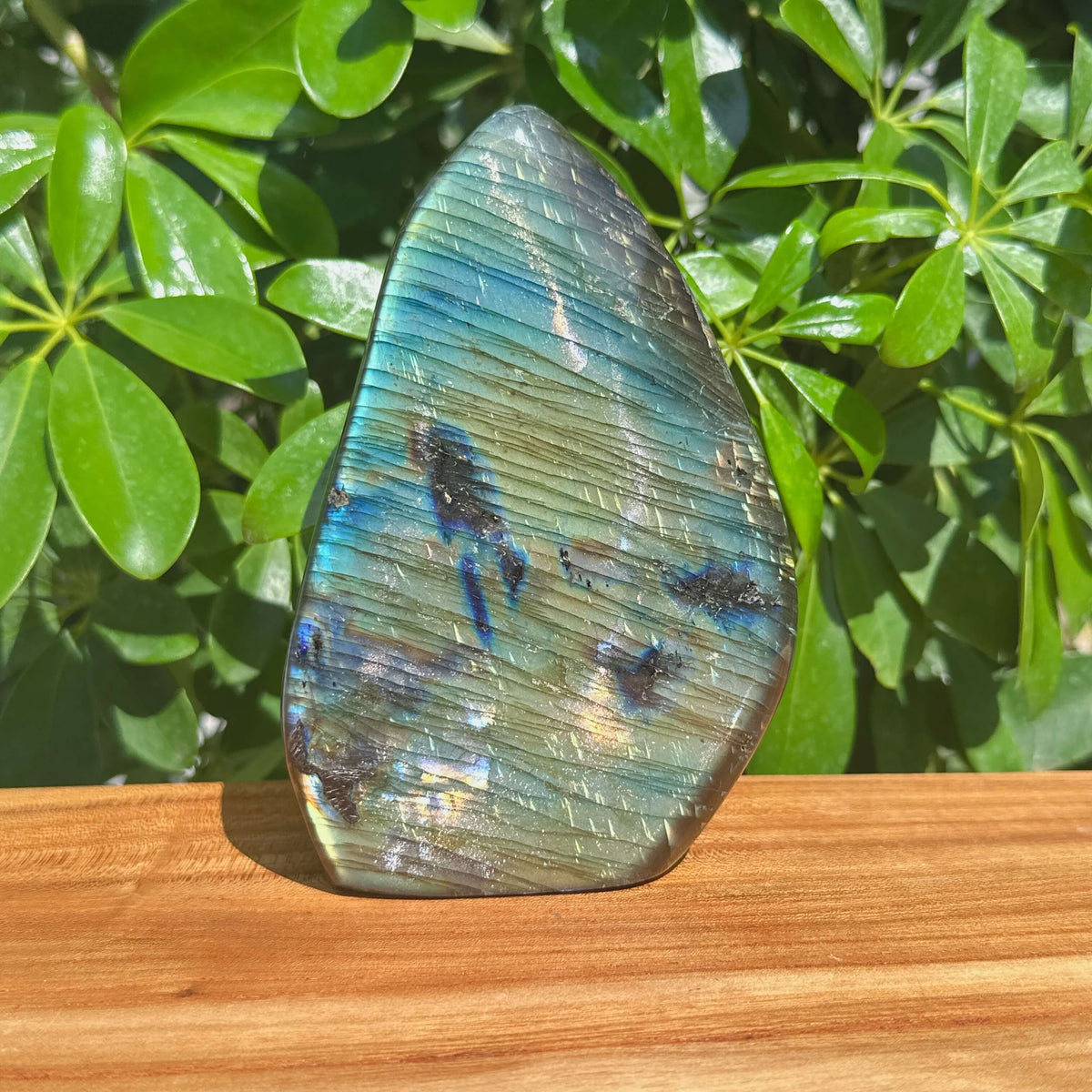 Labradorite Freeform