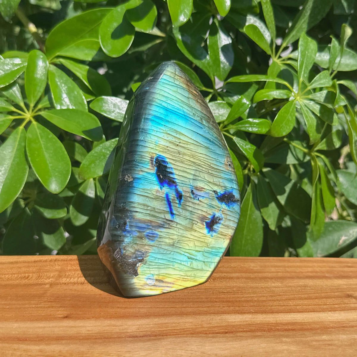 Labradorite Freeform
