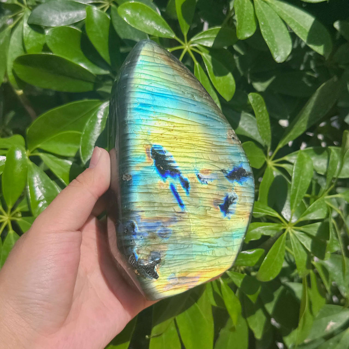 Labradorite Freeform