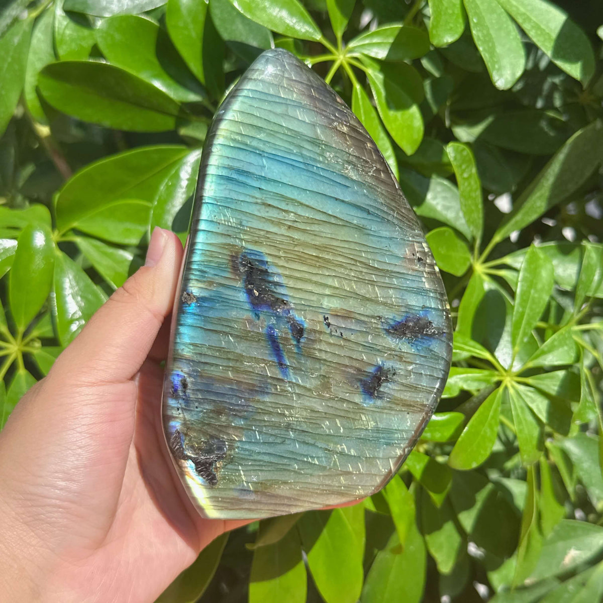 Labradorite Freeform