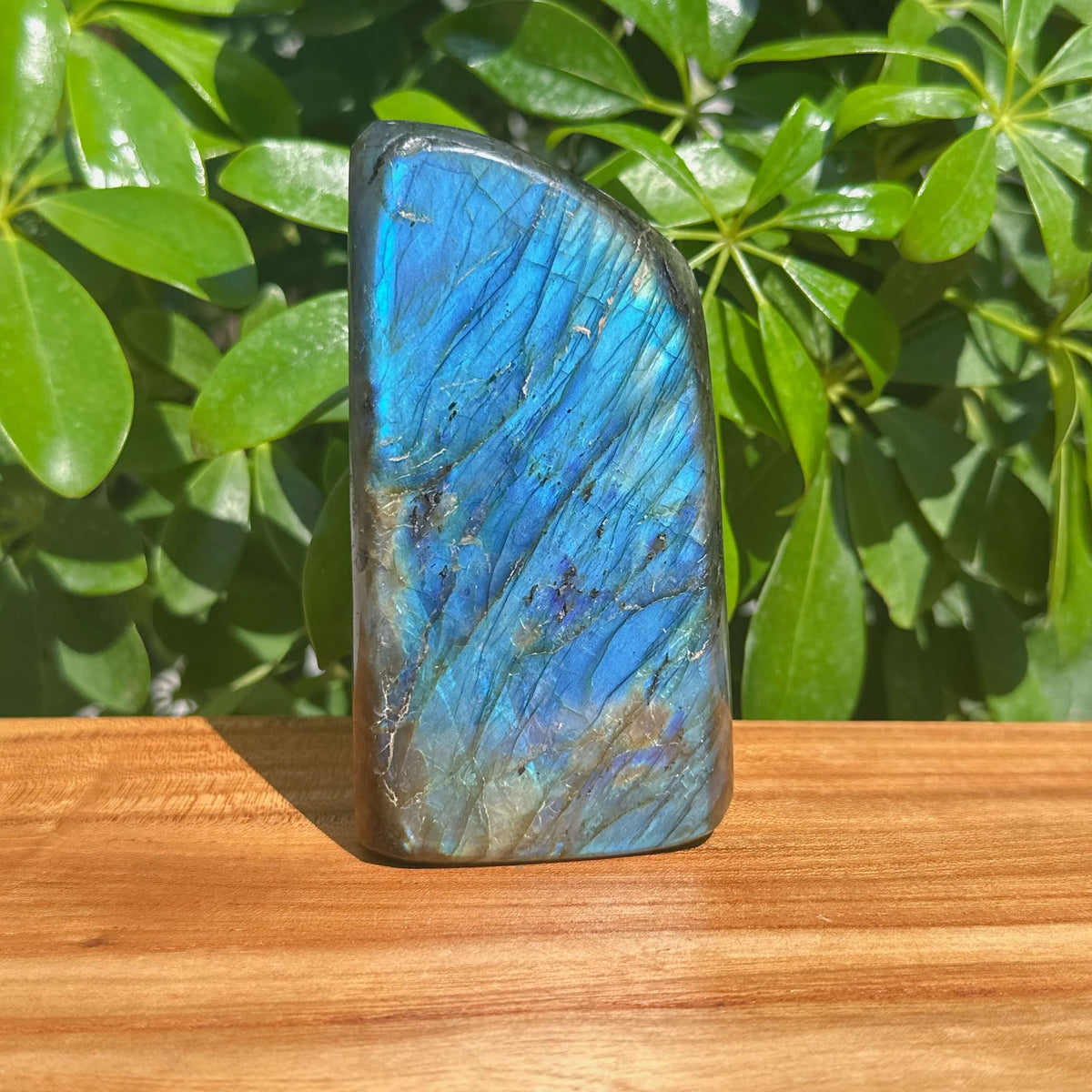 Labradorite Freeform