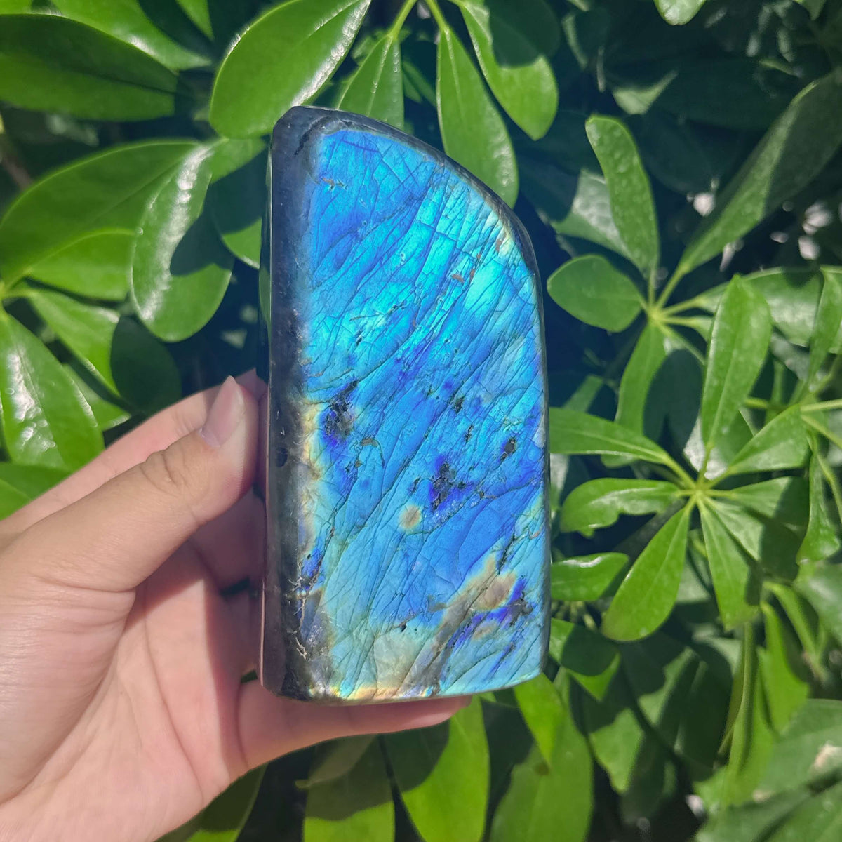 Labradorite Freeform