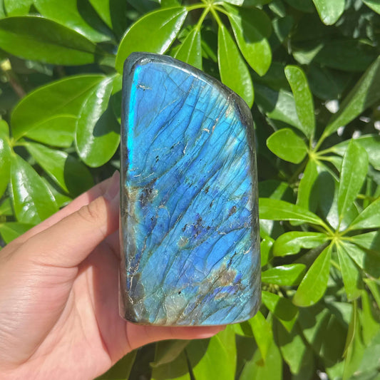 Labradorite Freefrom Ornament