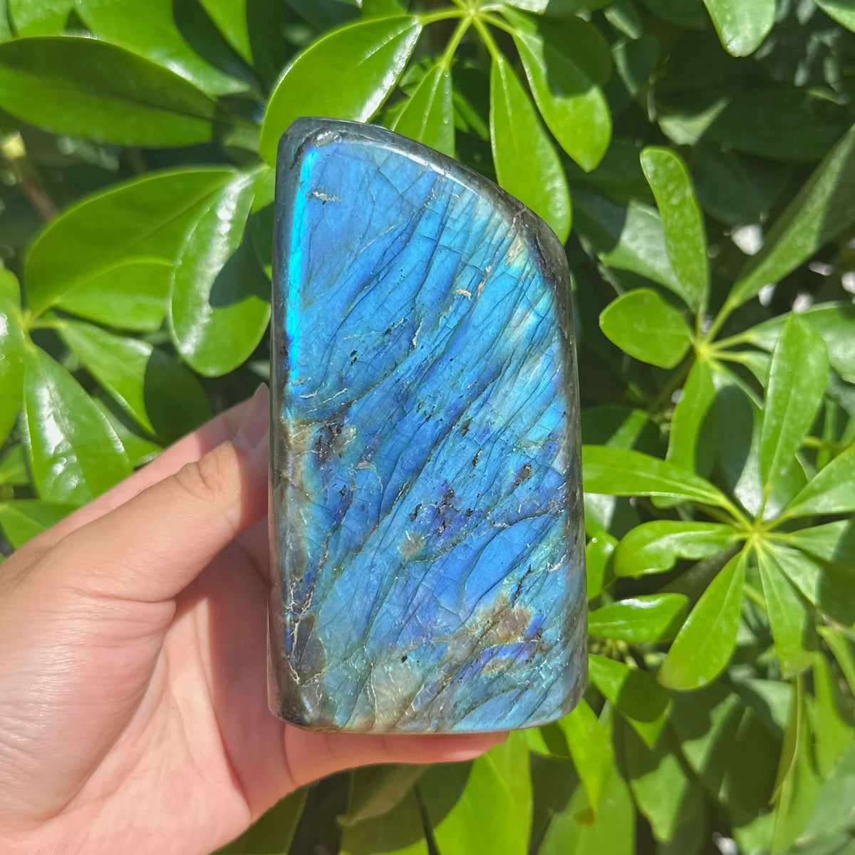 Labradorite Freeform