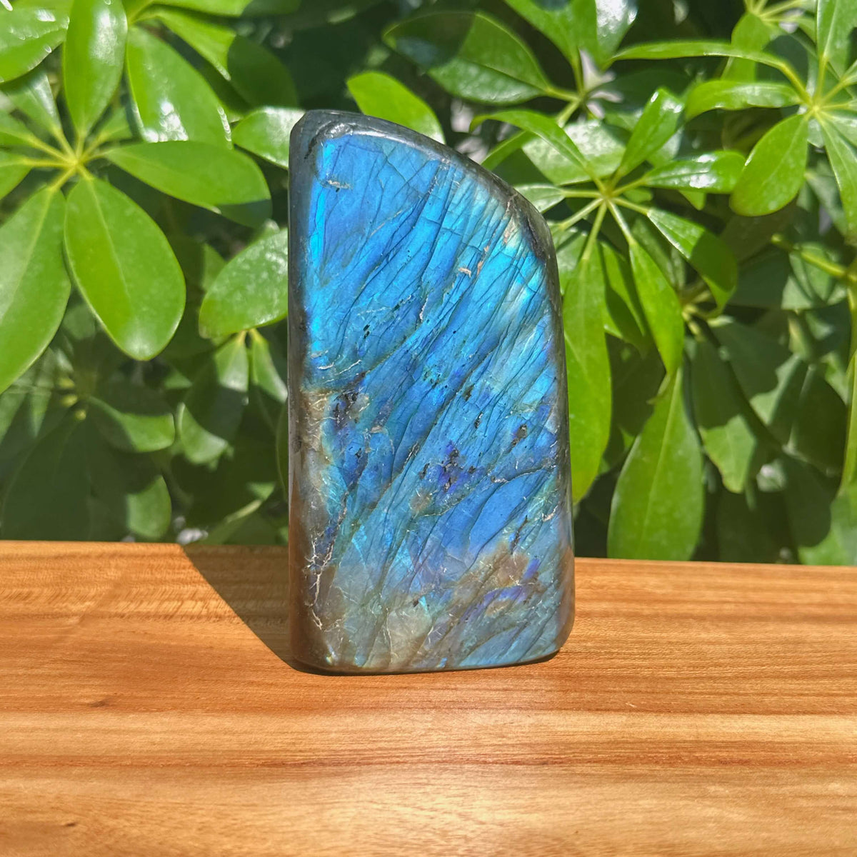 Labradorite Freeform