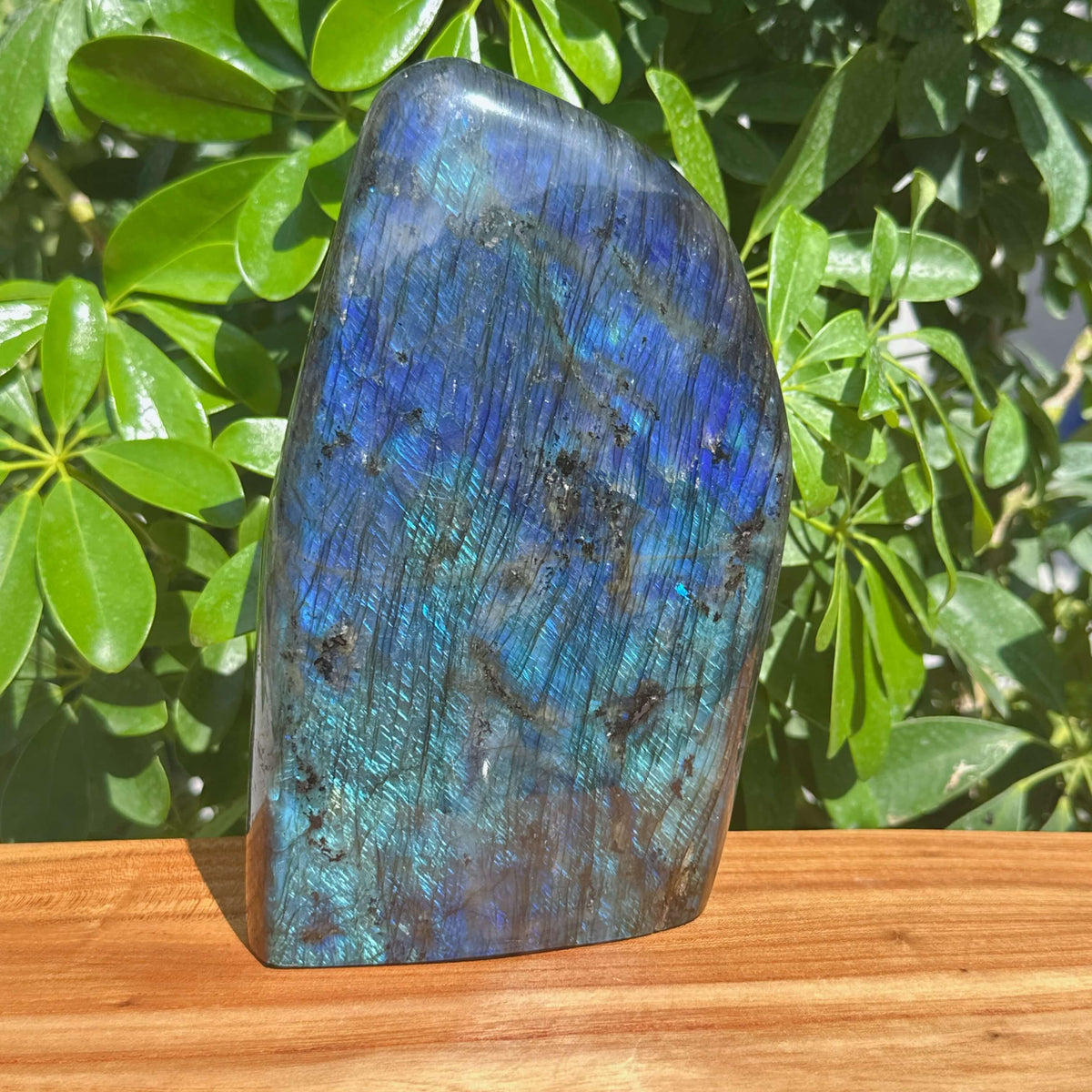 Labradorite Freeform