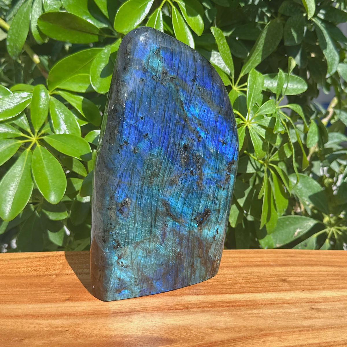 Labradorite Freeform