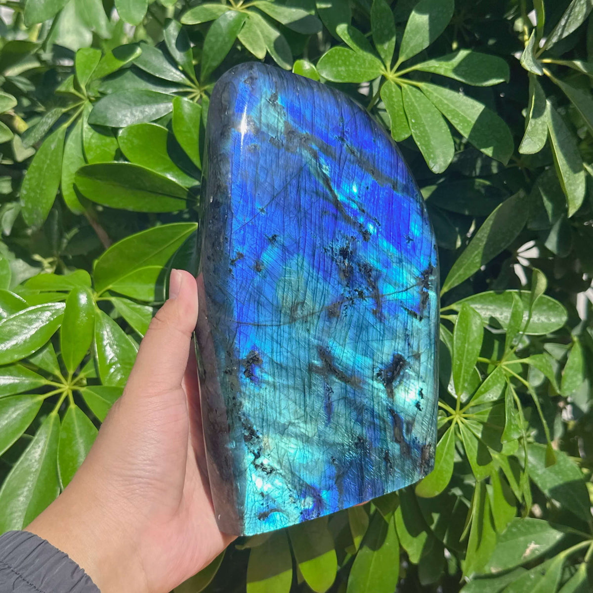 Labradorite Freeform