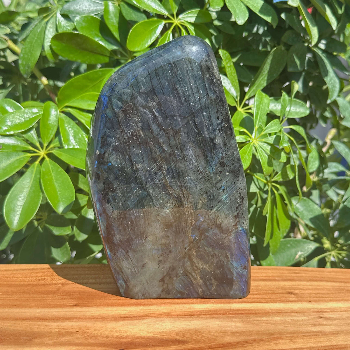 Labradorite Freeform