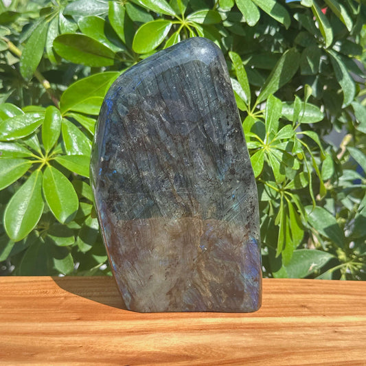 Labradorite Freeform
