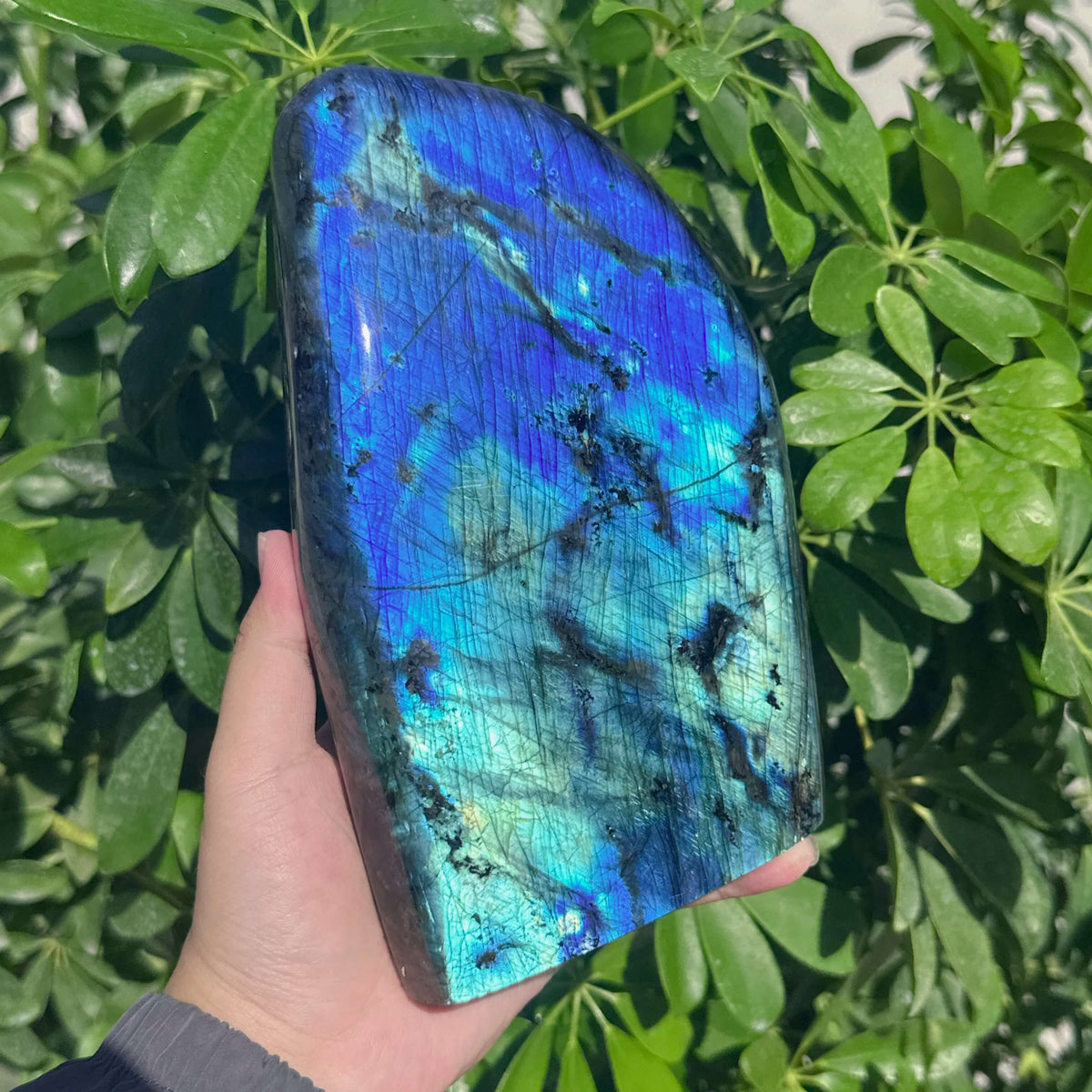 Labradorite Freeform