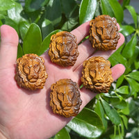 Tiger Eye Stone Lion Carving