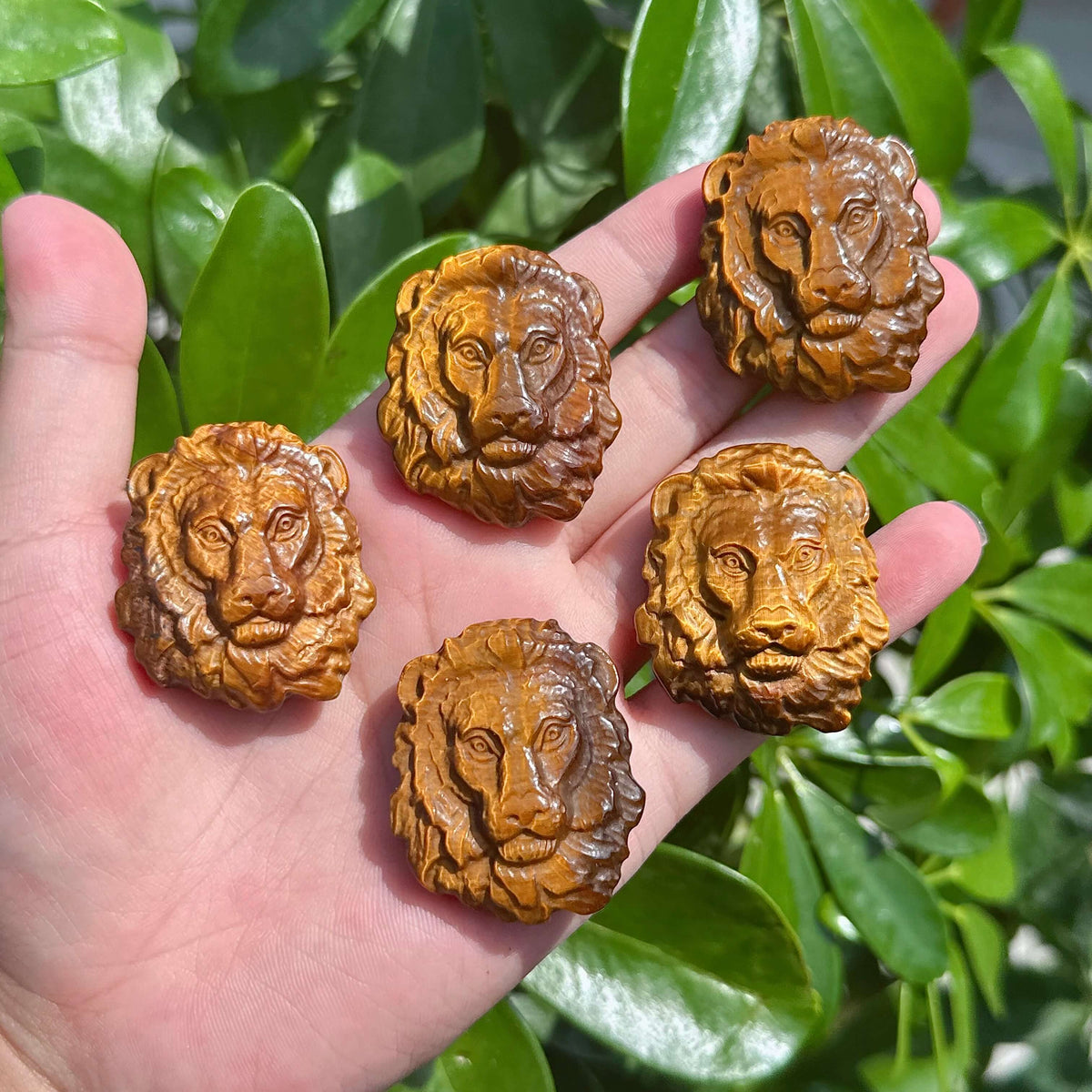 Tiger Eye Stone Lion Carving