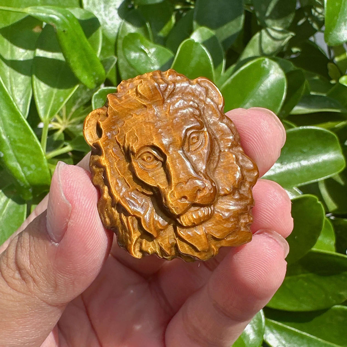 Tiger Eye Stone Lion Carving