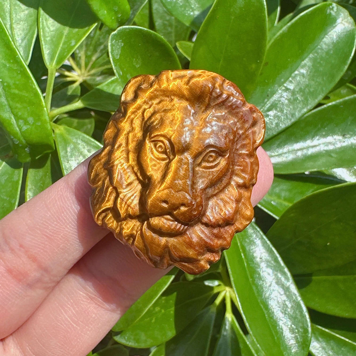 Tiger Eye Stone Lion Carving